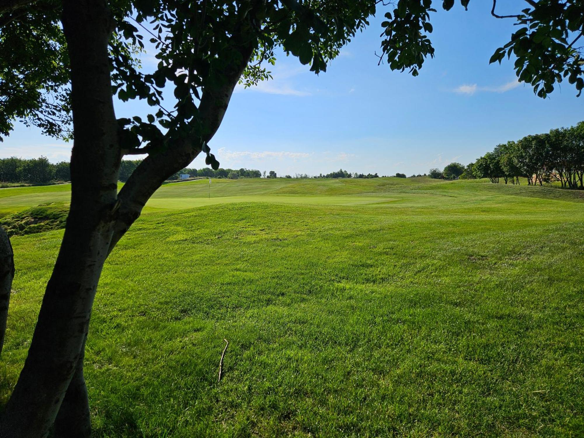 Lighthouse Golf Forest Green Villa بالشيك المظهر الخارجي الصورة